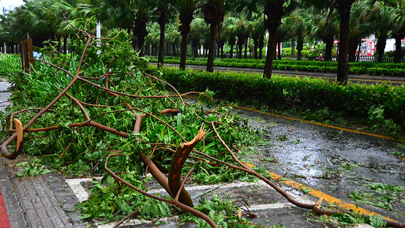 Typhoon Wutip Spurs Level III Alert in South China Typhoon_Wutip_Spurs_Level_III_Alert_in_South_China