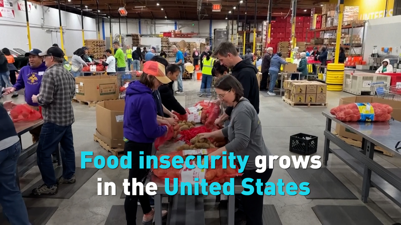 US Food Insecurity Rises: Nearly 50M Affected US_Food_Insecurity_Rises__Nearly_50M_Affected video poster
