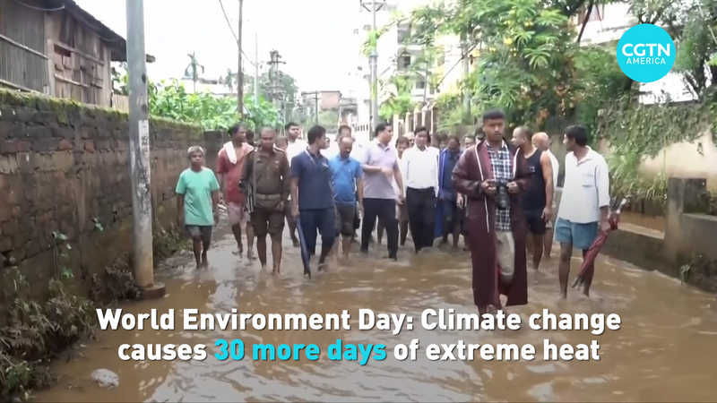 World Environment Day: 30 Days of Extreme Heat Shock for Billions World_Environment_Day__30_Days_of_Extreme_Heat_Shock_for_Billions video poster