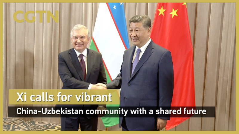 Xi_Calls_for_Vibrant_China_Uzbekistan_Community_at_Astana_Summit video poster