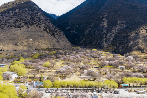 Xi Jinping Inspires Unity in Galai Village, Xizang Xi_Jinping_Inspires_Unity_in_Galai_Village__Xizang