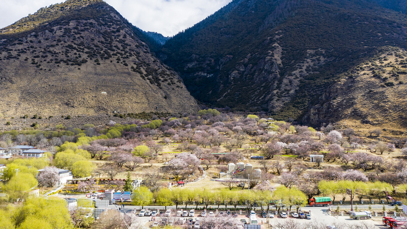 Xi_Jinping_Inspires_Unity_in_Galai_Village__Xizang