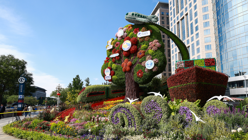 Xi_Jinping_s_Inspiring_Message_on_Unity___Hard_Work