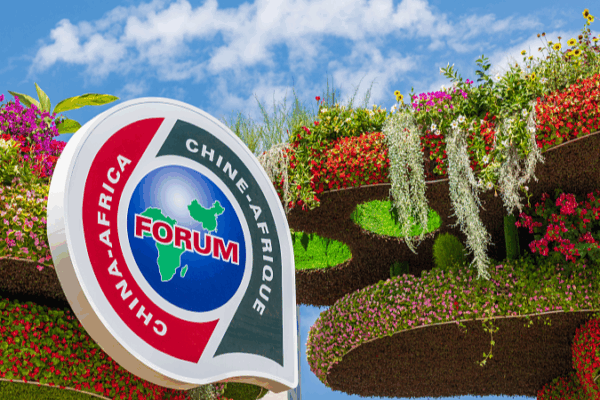 Xi___Sassou_Cheer_FOCAC_Coordinators__Dynamic_Meeting