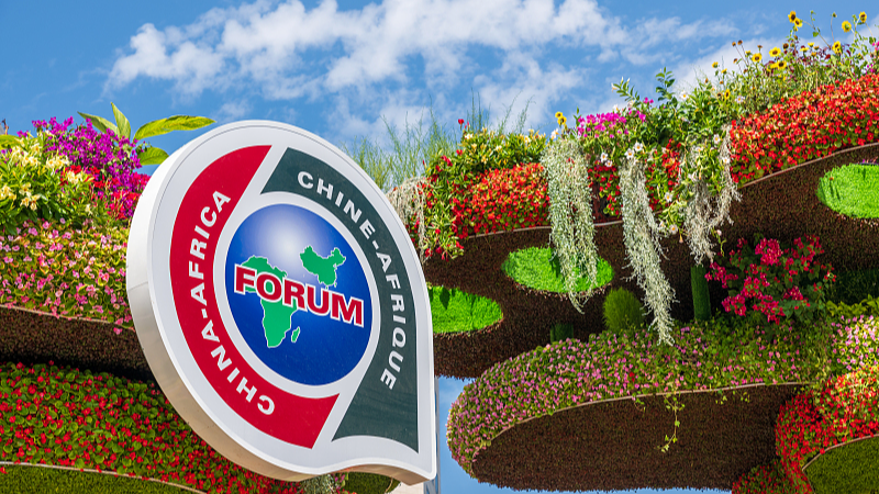 Xi___Sassou_Cheer_FOCAC_Coordinators__Dynamic_Meeting - News for amigos, by amigos Xi___Sassou_Cheer_FOCAC_Coordinators__Dynamic_Meeting