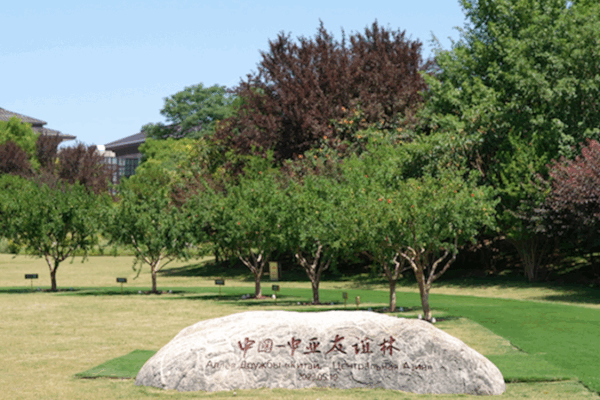 Xi’an Pomegranate Trees: Blossoming Unity with Central Asia Xi_an_Pomegranate_Trees__Blossoming_Unity_with_Central_Asia video poster
