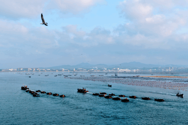 Xi’s Bold Blueprint for a Maritime Future Xi_s_Bold_Blueprint_for_a_Maritime_Future