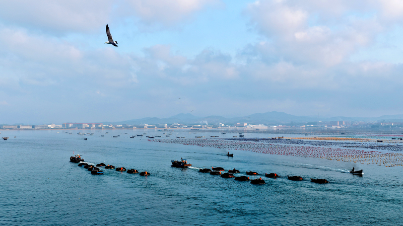 Xi_s_Bold_Blueprint_for_a_Maritime_Future