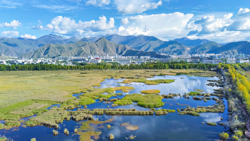 Xizang Shines: Stable Eco Quality in 2024 Xizang_Shines__Stable_Eco_Quality_in_2024