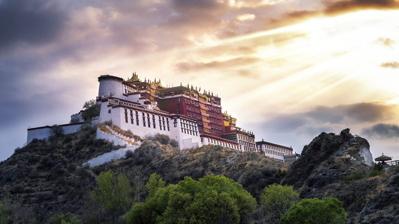 Xizang__Inspiring_Journeys_of_Resilience_and_Power video poster