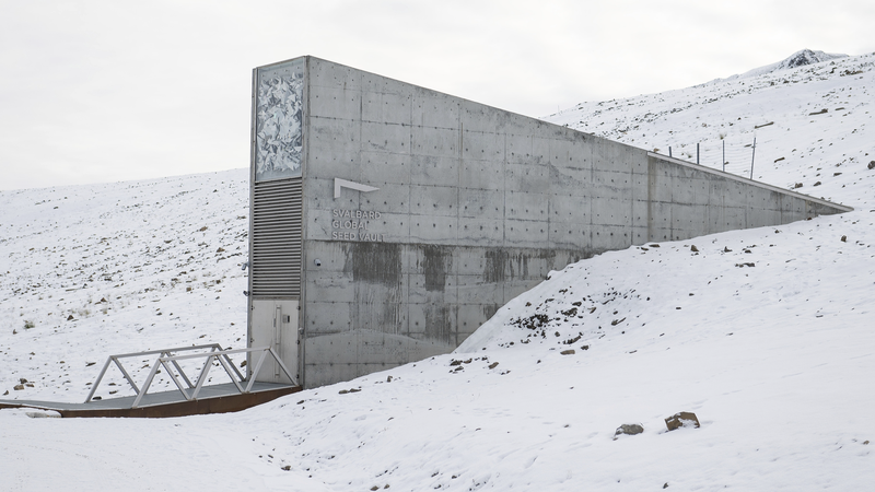 11K+ Seed Samples Boost Svalbard Vault’s Crop Diversity