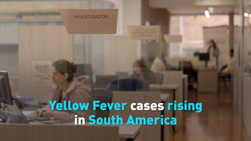 Yellow_Fever_Surge_in_South_America__Stay_Safe_ video poster