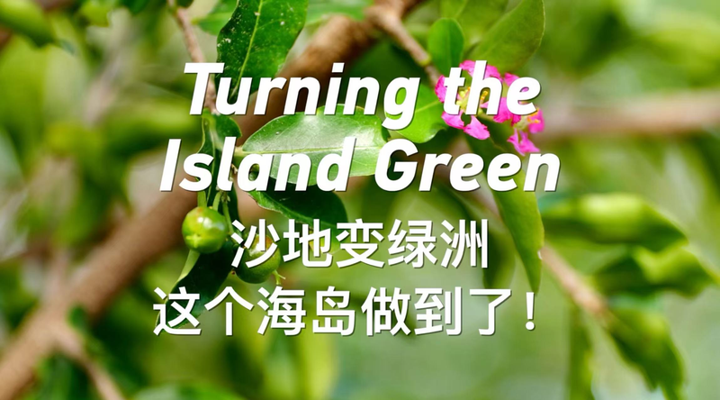 Turning the Island Green: Yongxing’s Eco Revolution Turning the Island Green: Yongxing’s Eco Revolution video poster