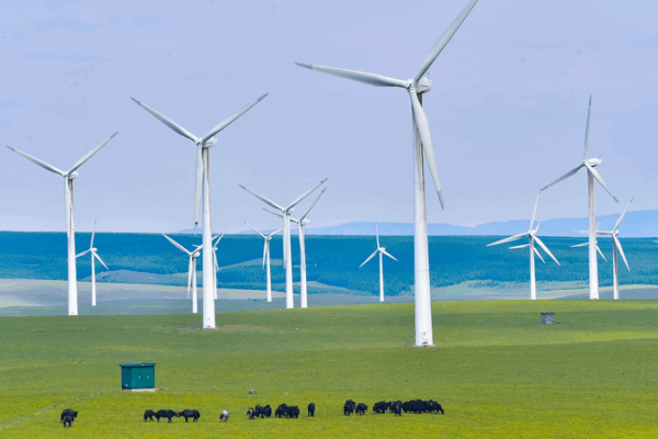 75 Years of Green Partnership: Sino-Danish Renewable Energy Boom 75_Years_of_Green_Partnership__Sino_Danish_Renewable_Energy_Boom