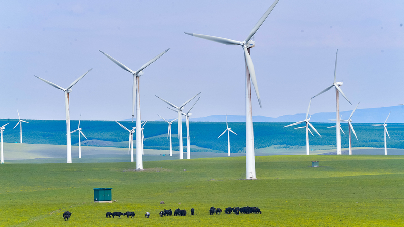 75_Years_of_Green_Partnership__Sino_Danish_Renewable_Energy_Boom - News for amigos, by amigos 75_Years_of_Green_Partnership__Sino_Danish_Renewable_Energy_Boom