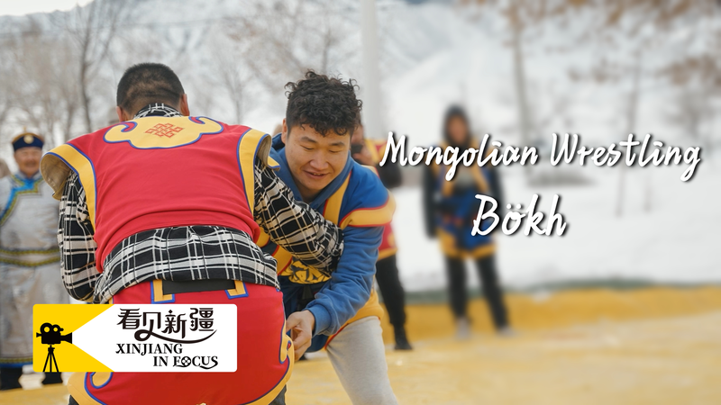 Bökh: Ancient Mongolian Wrestling Inspires Youth in Wusu City video poster