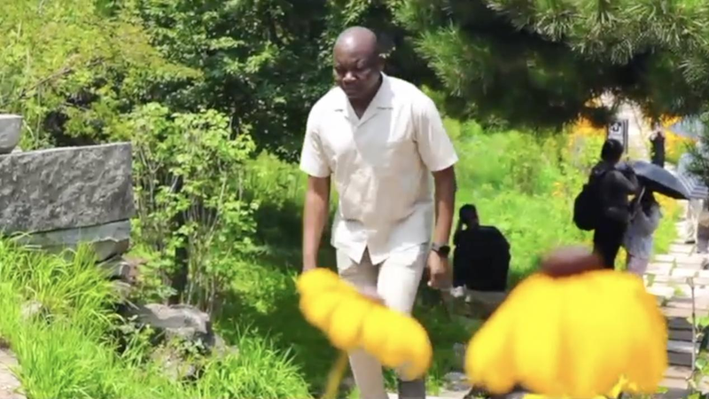 A_Vision_for_Humanity__Embracing_Harmony_with_Nature - News for amigos, by amigos A_Vision_for_Humanity__Embracing_Harmony_with_Nature