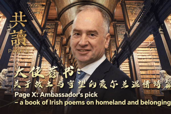 Ambassador’s Pick: An Irish Poetic Journey Ambassador_s_Pick__An_Irish_Poetic_Journey video poster