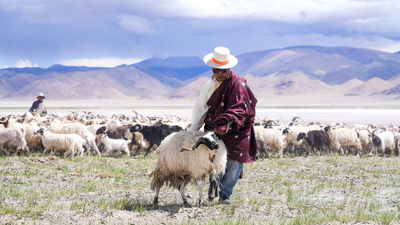 Ancient Salt-and-Sheep Route Revitalizes Yanhu Township Ancient_Salt_and_Sheep_Route_Revitalizes_Yanhu_Township