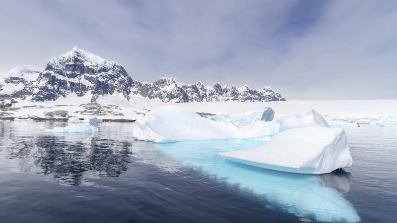 Antarctica’s Record Sea Ice Loss Threatens Wildlife & Climate Antarctica_s_Record_Sea_Ice_Loss_Threatens_Wildlife___Climate