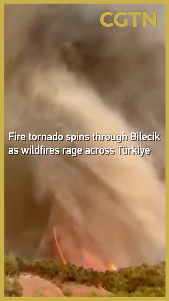 Bilecik Fire Tornado Sparks Wildfire Alarm in Türkiye Bilecik Fire Tornado Sparks Wildfire Alarm in Türkiye video poster