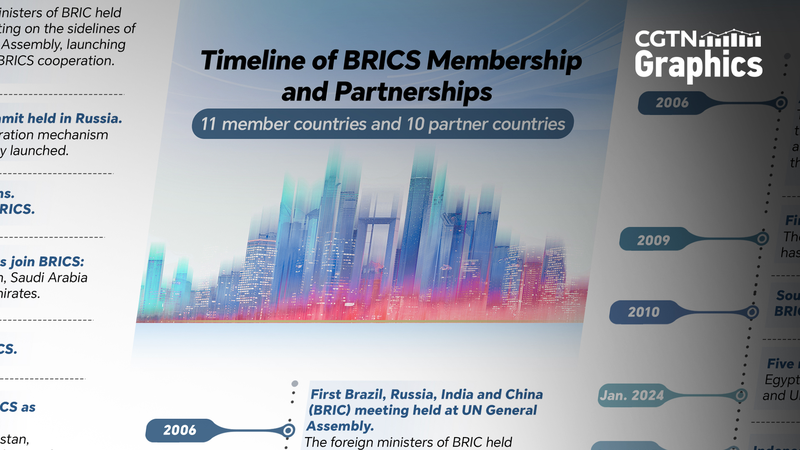 BRICS Expansion: From 4 to 11 Members & 17th Summit in Rio BRICS_Expansion__From_4_to_11_Members___17th_Summit_in_Rio