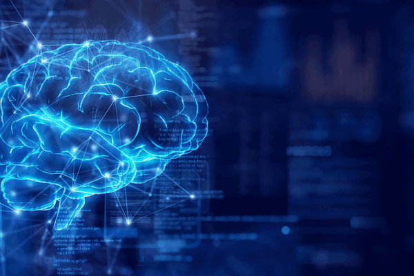 Brain Mapping Breakthrough: Chinese-led Team Unveils New Mesoscale Atlases Brain_Mapping_Breakthrough__Chinese_led_Team_Unveils_New_Mesoscale_Atlases