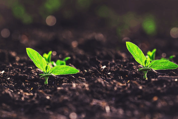 Breakthrough Tech: High-Precision Soil Moisture Estimation Breakthrough_Tech__High_Precision_Soil_Moisture_Estimation