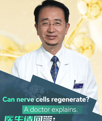 Can Nerve Cells Bounce Back? A Health Talk Can_Nerve_Cells_Bounce_Back__A_Health_Talk video poster