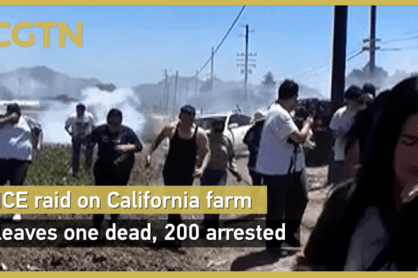 Chaos in California: ICE Cannabis Farm Raid Leaves 1 Dead, 200 Arrested Chaos_in_California__ICE_Cannabis_Farm_Raid_Leaves_1_Dead__200_Arrested video poster