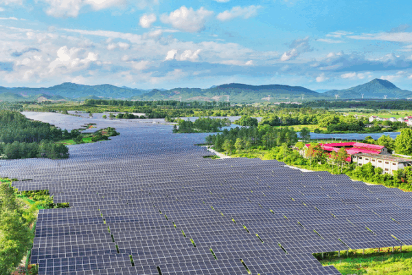 China Champions Global Green Development China_Champions_Global_Green_Development
