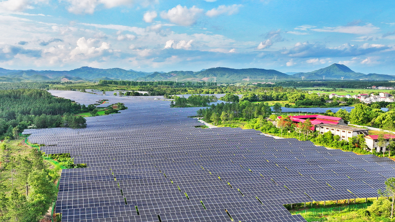 China_Champions_Global_Green_Development - News for amigos, by amigos China_Champions_Global_Green_Development