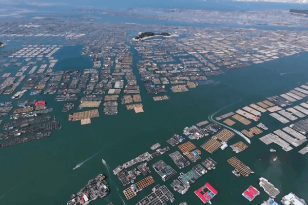 China Launches Emergency Response for Typhoon Danas China_Launches_Emergency_Response_for_Typhoon_Danas