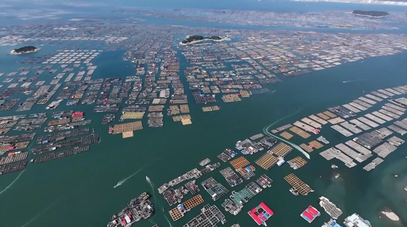 China_Launches_Emergency_Response_for_Typhoon_Danas - News for amigos, by amigos China_Launches_Emergency_Response_for_Typhoon_Danas