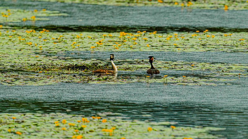 China Sets Global Record with 22 International Wetland Cities China_Sets_Global_Record_with_22_International_Wetland_Cities