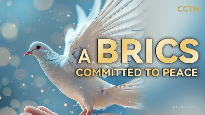 China Urges BRICS to Pioneer Global Peace China_Urges_BRICS_to_Pioneer_Global_Peace video poster