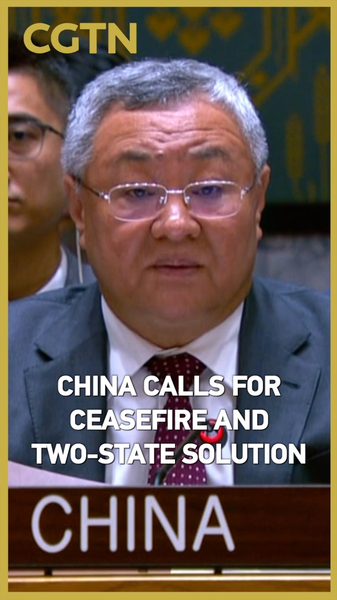 China Urges Halt to Gaza & West Bank Attacks, Supports Two-State China_Urges_Halt_to_Gaza___West_Bank_Attacks__Supports_Two_State video poster
