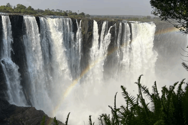 China___Africa_Unite_for_Wetland_Protection