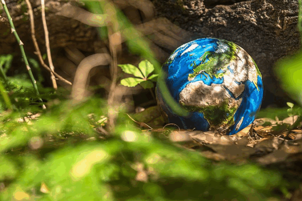 China and EU Unite for Bold Climate Action China_and_EU_Unite_for_Bold_Climate_Action