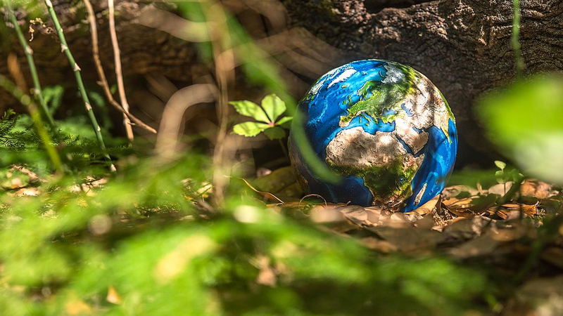 China_and_EU_Unite_for_Bold_Climate_Action - News for amigos, by amigos China_and_EU_Unite_for_Bold_Climate_Action