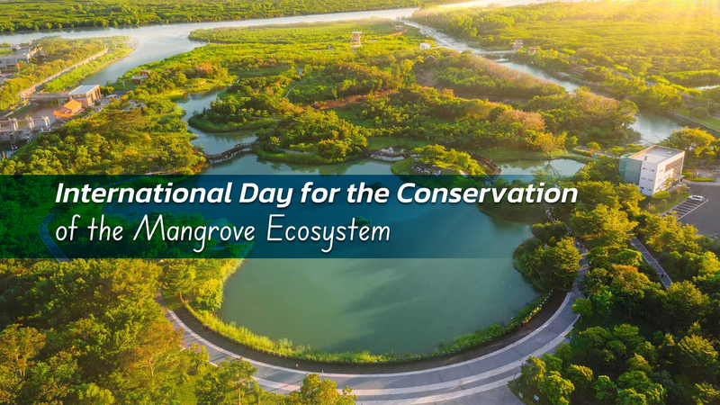 Guarding Mangroves: Building a Blue‑Carbon Shield for Our Future