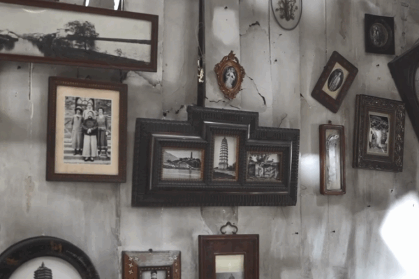 Dead_to_Rights_Tops_2025_Box_Office video poster