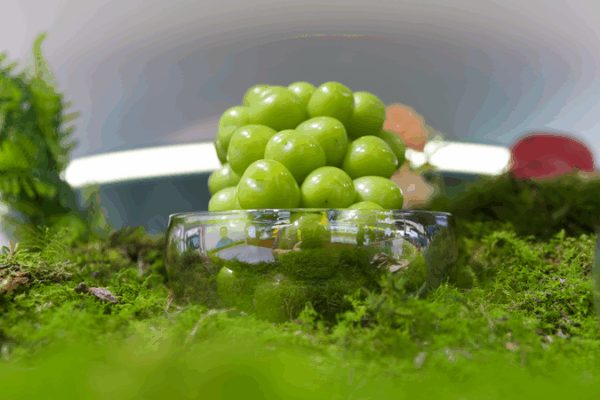 Digital Farming Revolution: China’s Tech Transforms Agriculture Digital_Farming_Revolution__China_s_Tech_Transforms_Agriculture