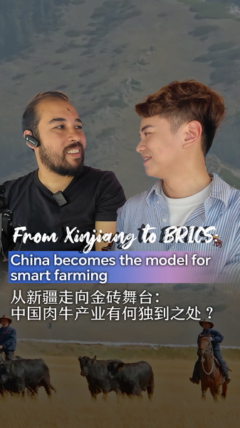 Digital Farming Revolution in Xinjiang Inspires BRICS Cooperation Digital_Farming_Revolution_in_Xinjiang_Inspires_BRICS_Cooperation video poster