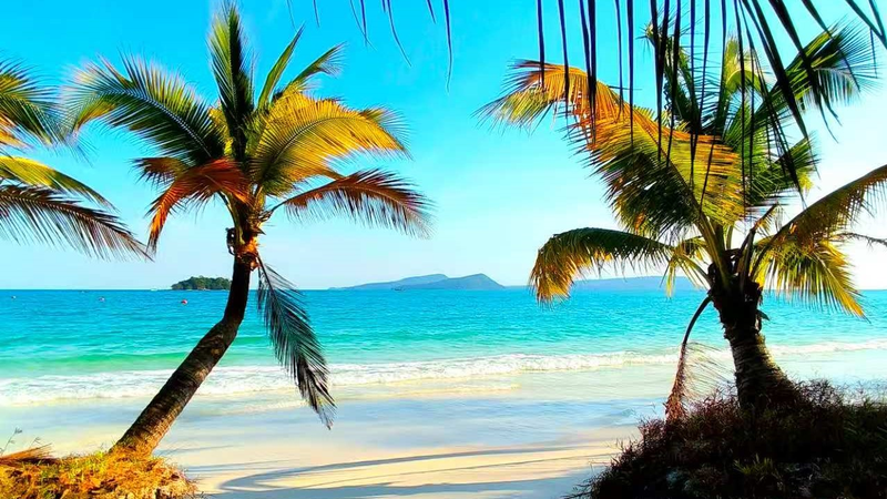 Dive_Deep__Uncovering_the_Need_to_Protect_Ocean_Life