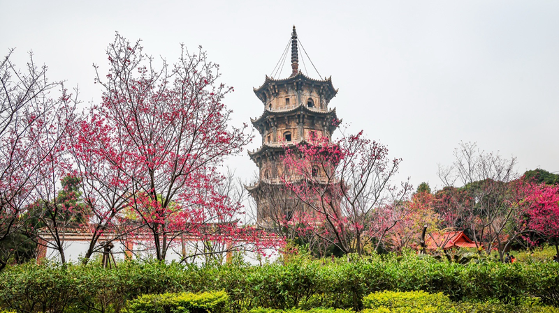 Echoes_of_Confucius__When_Dialogue_Shapes_Civilizations - News for amigos, by amigos Echoes_of_Confucius__When_Dialogue_Shapes_Civilizations