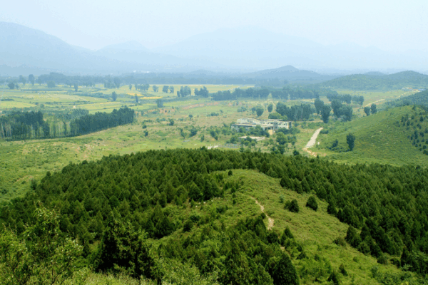 Explore Shunyi: Nature’s Hidden Gem at CISCE Explore_Shunyi__Nature_s_Hidden_Gem_at_CISCE
