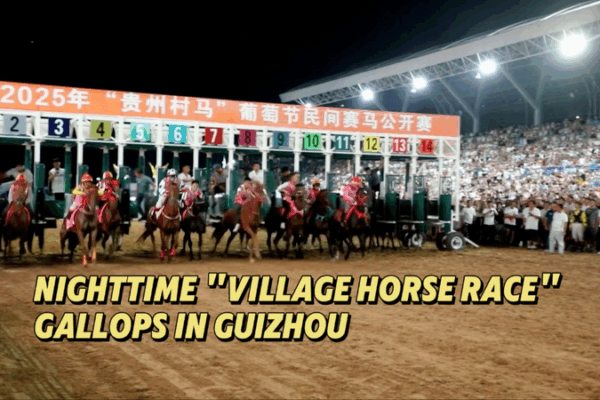 Galloping Under the Stars: Guizhou’s Night Village Horse Race Galloping_Under_the_Stars__Guizhou_s_Night_Village_Horse_Race video poster