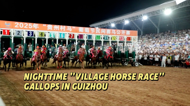Galloping_Under_the_Stars__Guizhou_s_Night_Village_Horse_Race_poster - News for amigos, by amigos Galloping_Under_the_Stars__Guizhou_s_Night_Village_Horse_Race video poster