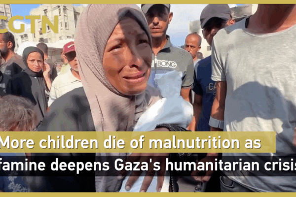 Gaza Crisis: WHO Warns of Man-Made Starvation Gaza_Crisis__WHO_Warns_of_Man_Made_Starvation video poster